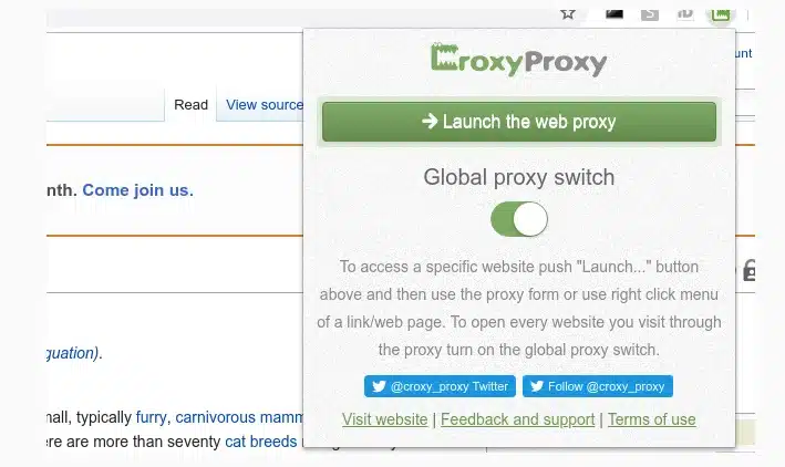 Free Web Proxy CroxyProxy